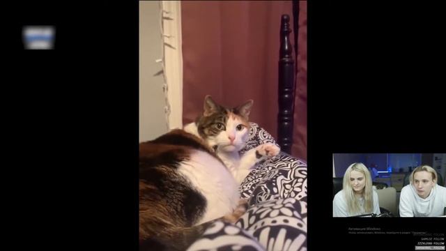 9d5195edac53241092ae8f45027875c6