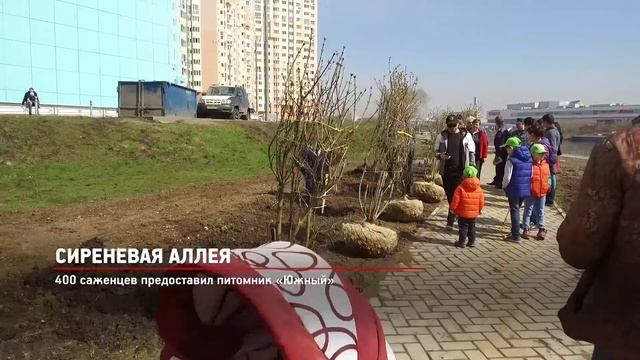 КРТВ. Акция «Лес Победы» В Павшинской пойме