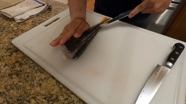 Taste Testing TRASH Fish Tacos: These TWO Fish Fishermen NEVER Keep!