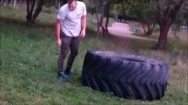 Мозаика: формы, соединяющие пространства