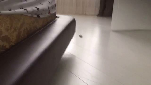 один из всех 3 часть | синий ёжик другая версия