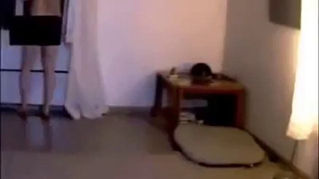 Собака борется с курением! Не успел выключить веб-камеру.