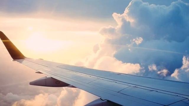 Cut The Crap & In Vino Veritas // POlIsH Trip