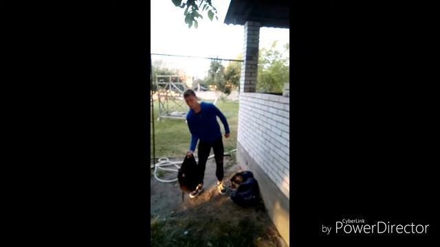 Топ 3 упражнения на бицепс