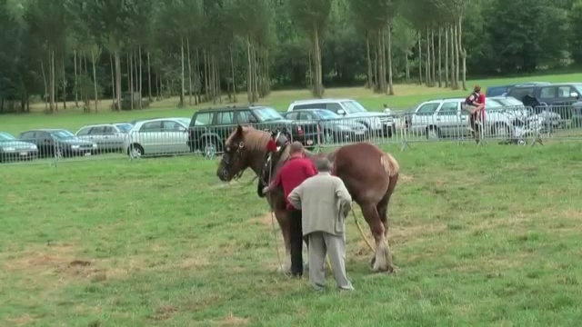 1 Horse Against 18 Men !!!