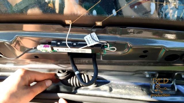 Рецепты желе для всей семьи