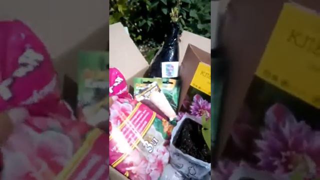 Распаковка посылки от интернет магазина Агромаркет !