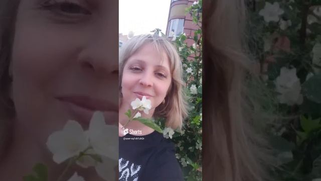 31 мая 2024 г..mp4