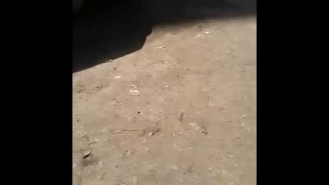 78bcdcc0a5e0644ffe21f89b1705fe37