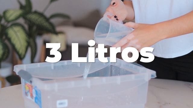 501619d98861e500d7ae3e3ffd80229d