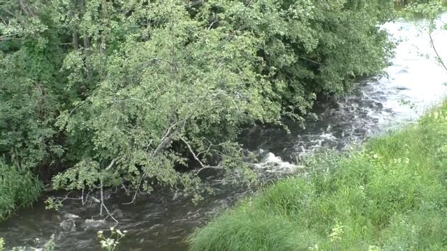 2017.07.16 - 17. Торжокский район: первый визит в Березки Чевакино