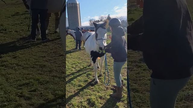 Porcupine Game 1 With Reo