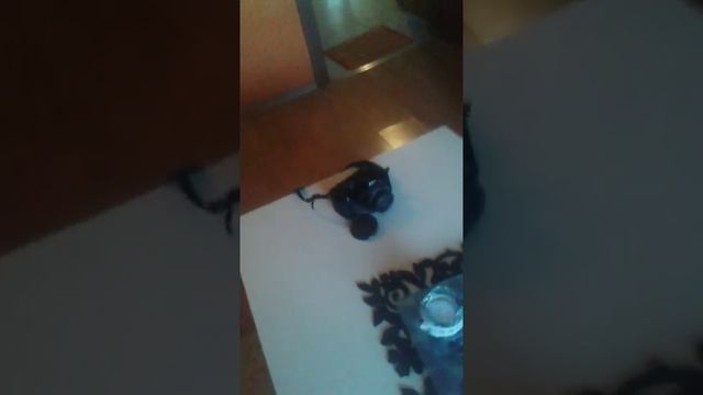 NIKON COOLPIX L340 BEMUTATÓ :)