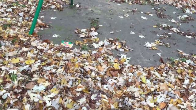 16 ноября 2022 года добрый день нет света!