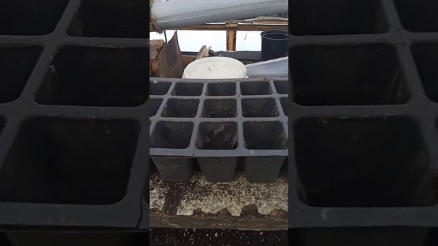 7 февраля 2023 г.