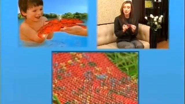 Виды аппликаторов Ляпко