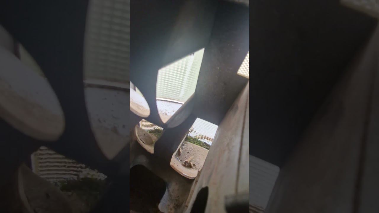 4e148b86ec8891f30cb769b2821e2697