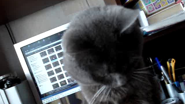 Bca8ef57f24eaeb2d100a82ee9dbfe1d