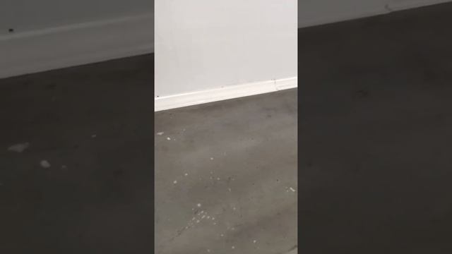 Мойка пола на пищевом производстве