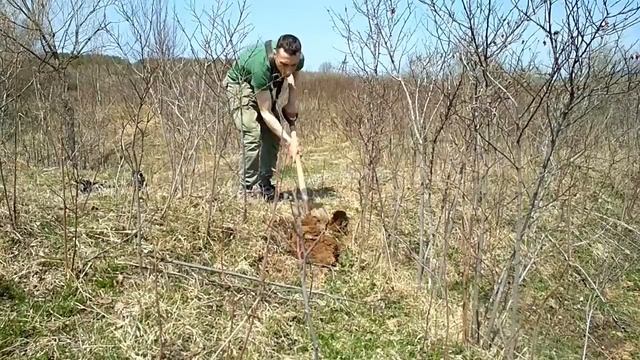Когда срочно нужно немного денег. Сахалин
