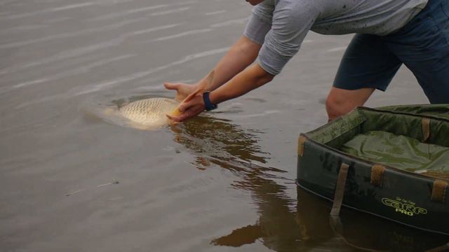 Фидерная рыбалка. Александр Задорожный. Турнир Iron Fish. Видеосъемка Харьков
