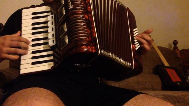 When She Loved Me | Accordion