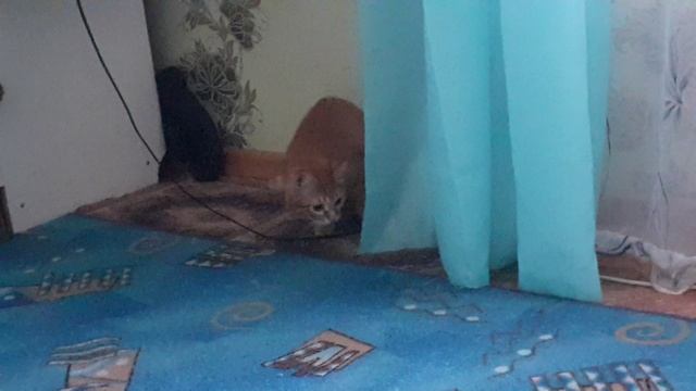 3a86c038605665258501f3026bebbd63