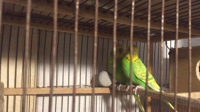 D439541adefd7a379622d413ac181610