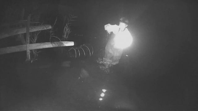 ?24-часа на рыбалке? Наловили РАКОВ руками и раколовкой? ЩУКА на спиннинг?