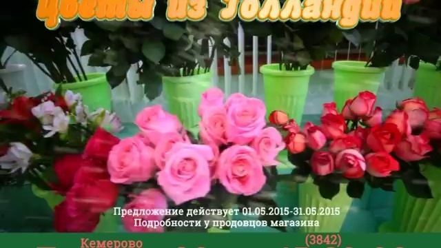 Цветы из Голандии, рекламный видео ролик