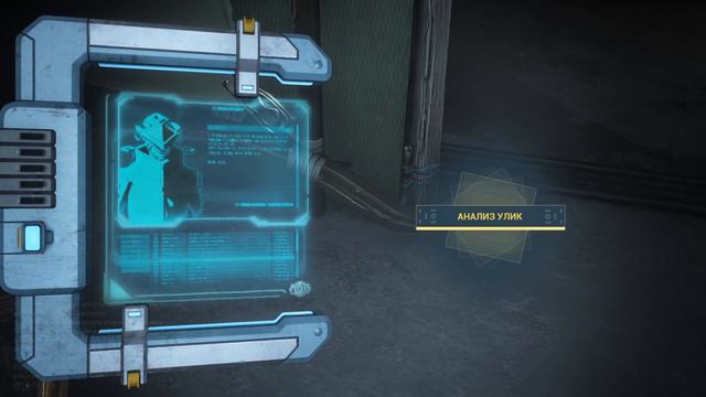 ЭКСПРЕСС МНЕНИЕ! GLASSMAKER WARFRAME!