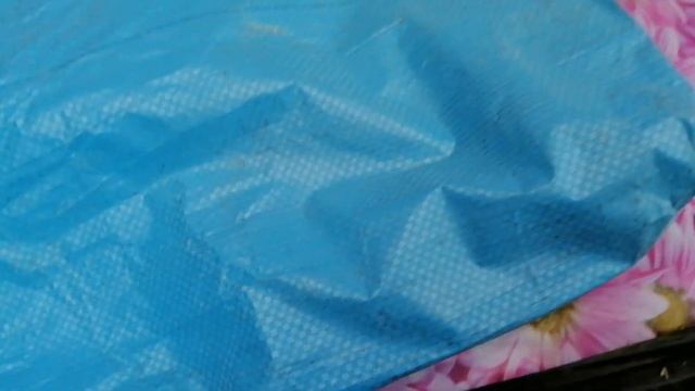 ??КАК ЛЕГКО И ПРОСТО ПОЛУЩИТЬ ФАСОЛЬ, ГОРОХ