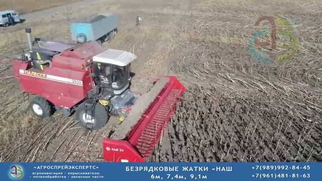 Безрядковые жатки НАШ для подсолнечника.