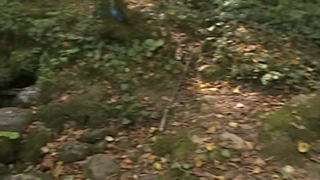 Святой источник.