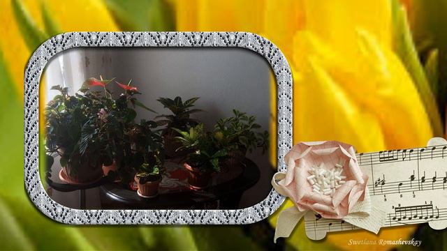 Желаю великолепного дня! Семье брата Владимира!  Swetlanaroma@mail Ru