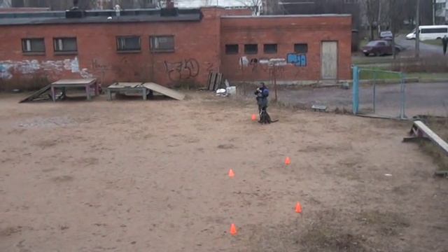 3035e39f05566e64d2f696a76fb4337c