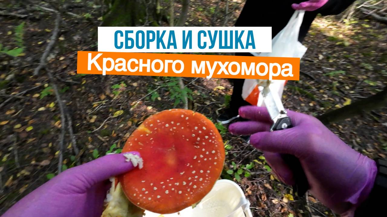 Семенов Вячеслав