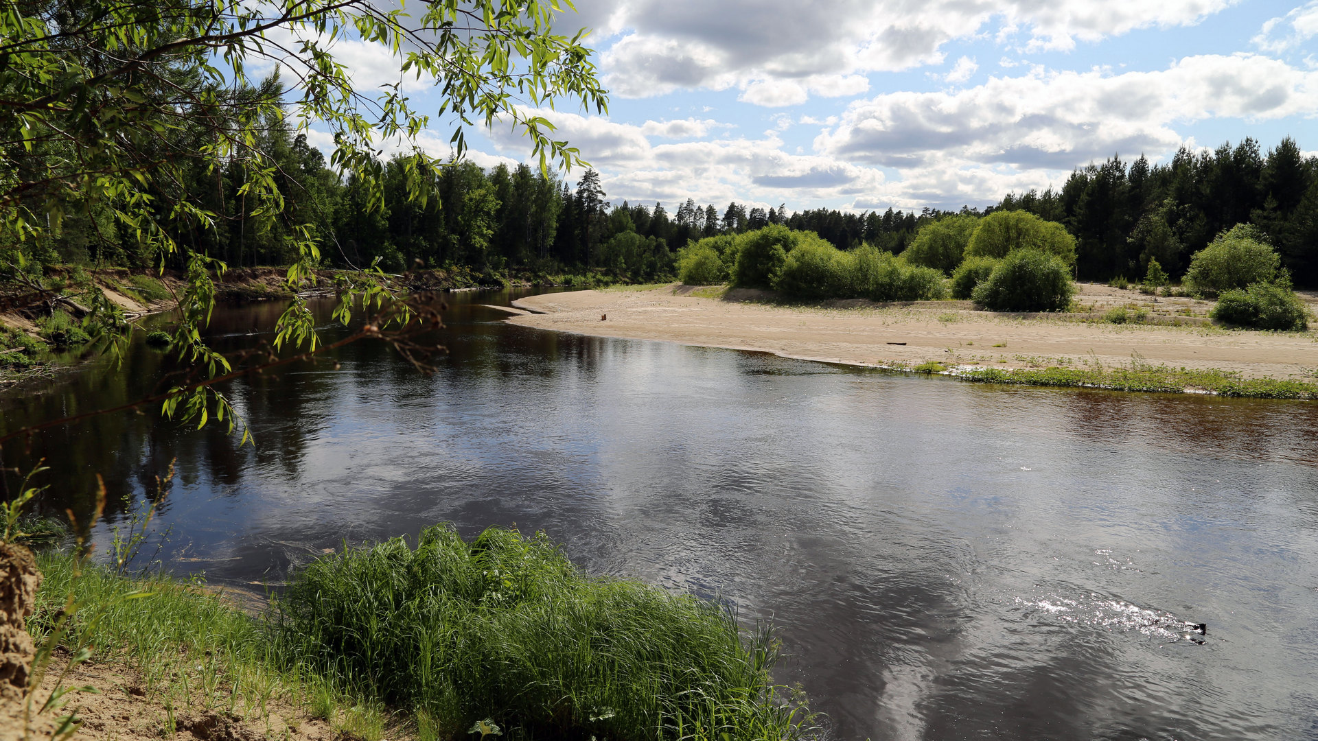 2023 Выходные под Нижним_2_Керженский  заповедник