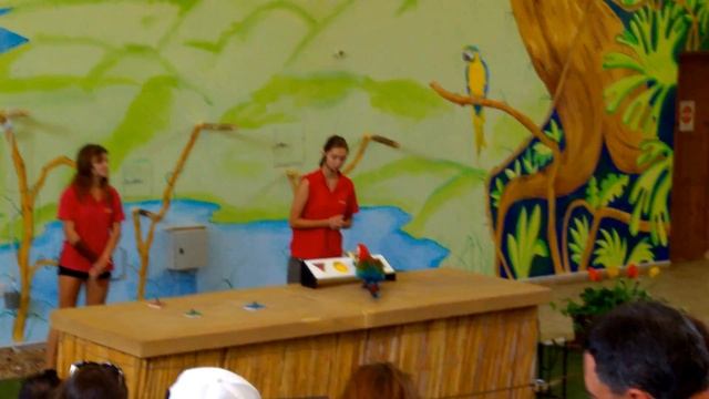 Pafos Zoo SHOW