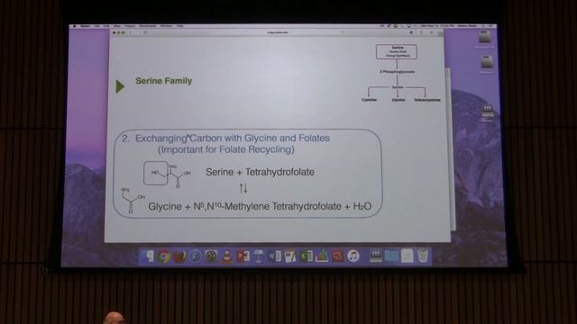 Lecture #54 Ahern's BB 451 - Nitrogen Metabolism II