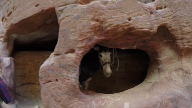 Petra, Jordan HD (GoPro 5) New Year 2017