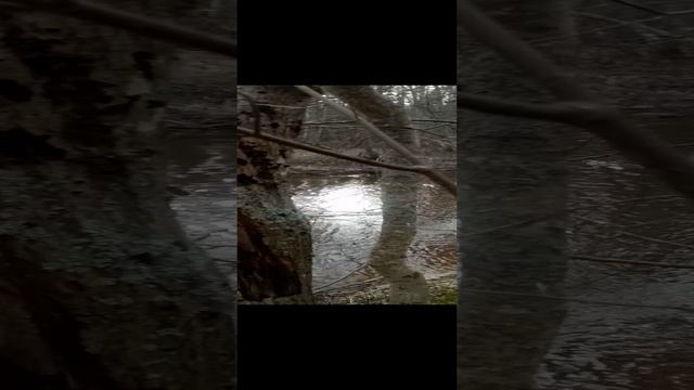 Копорка речка в лен.обл.