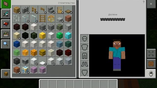 Minecraft версия 1.16.221
