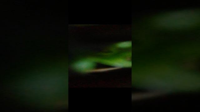 837bd7573aeff64497d0c8b05c0156bb