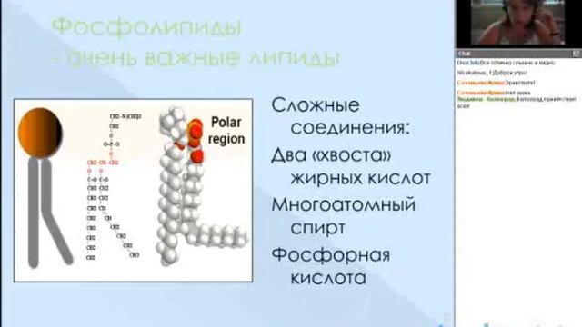 Жиры и их биологическая роль. БАДы линейки Диэнай.