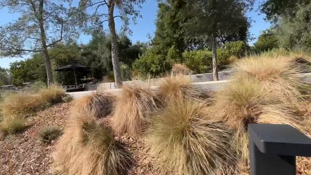 I Went To Apple Park For The First Time *Vlog*