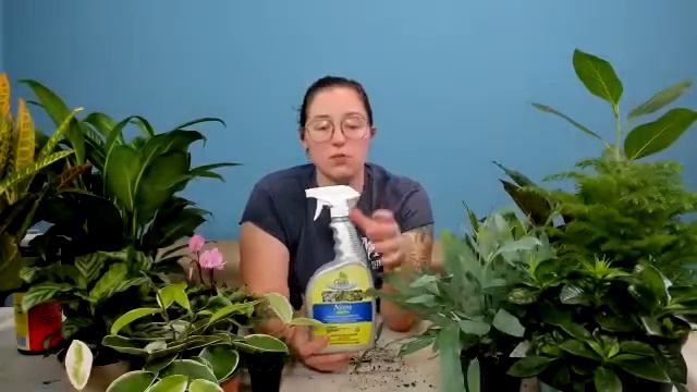 6ee5b71e48f193b62e58b663c63a3a14