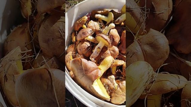 49b2da9925c1b229183156d6c943f89d