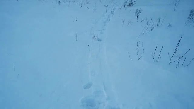 Про видео,которые вышли и выйдут,а так же другие темы разговора-1