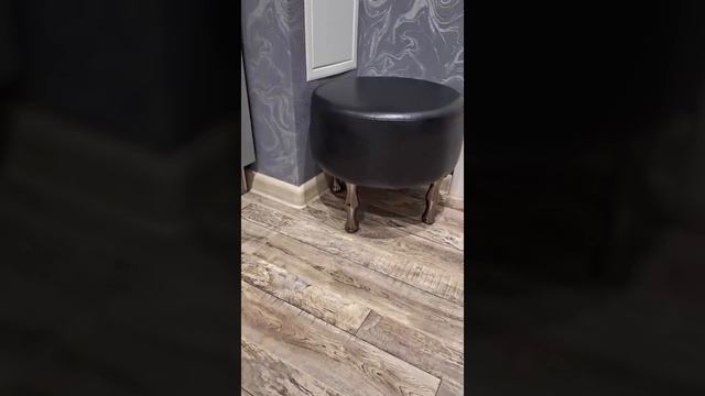 Чёрный короткие ножки